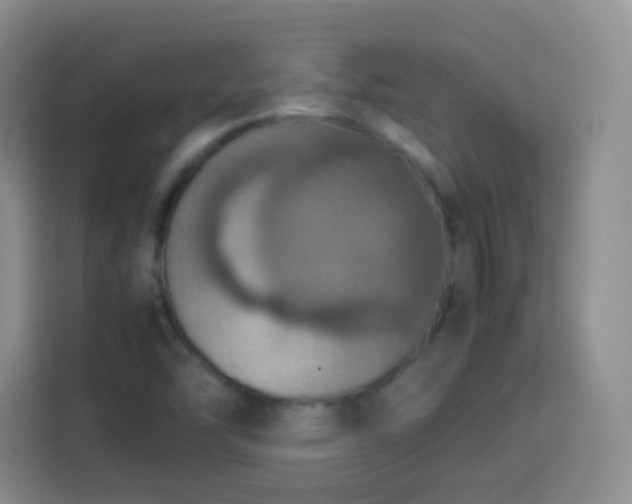 X0000113781454200909301140
