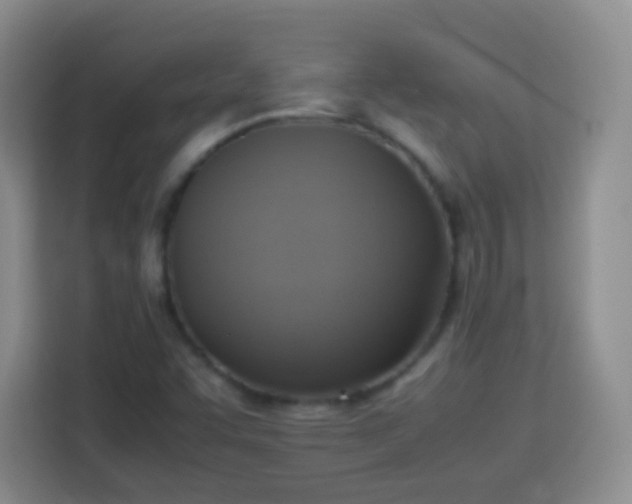 X0000113781455200909301140