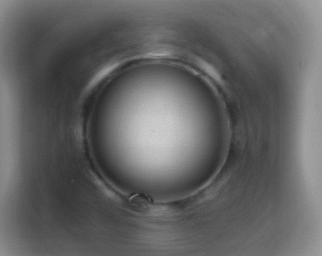 X0000113781456200909301140