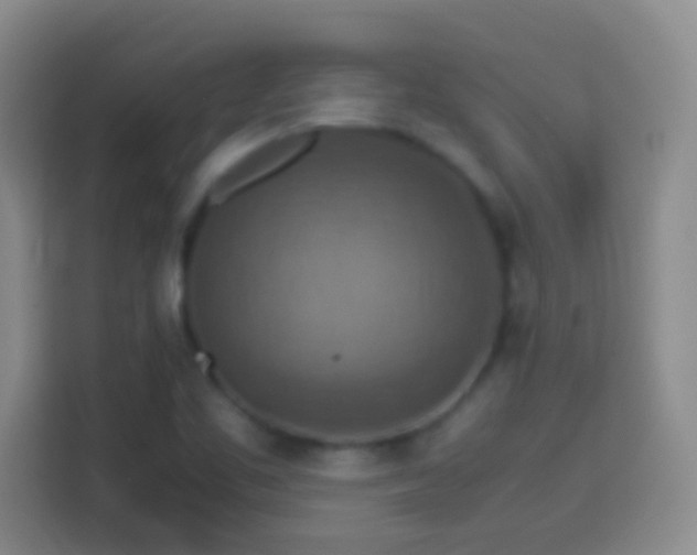X0000113781461200909301140