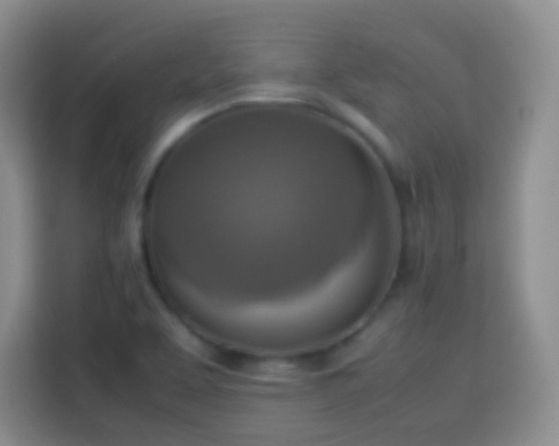 X0000113781463200909301140