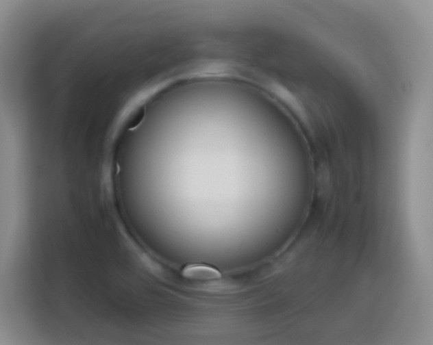X0000113781464200909301140