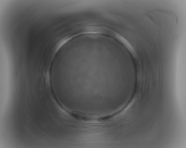 X0000113781465200909301140