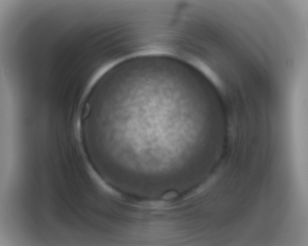 X0000113781468200909301139