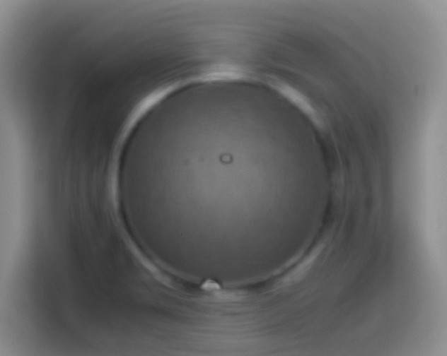 X0000113781469200909301139