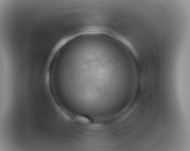 X0000113781472200909301139