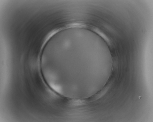 X0000113781474200909301139