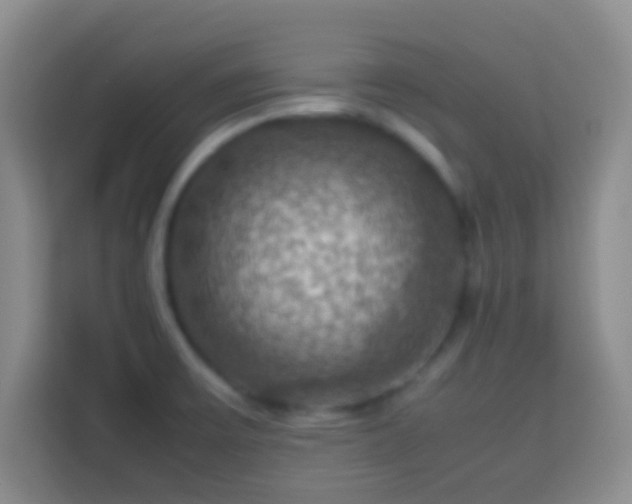X0000113781475200909301139