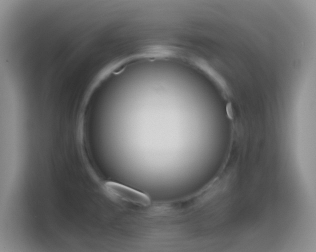 X0000113781477200909301139