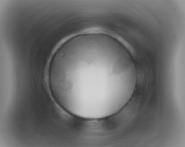 X0000113781478200909301139