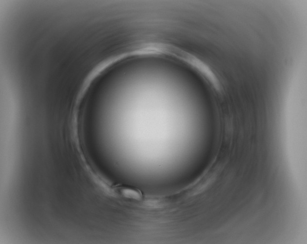 X0000113781480200909301139