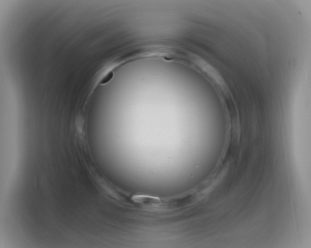 X0000113781481200909301139