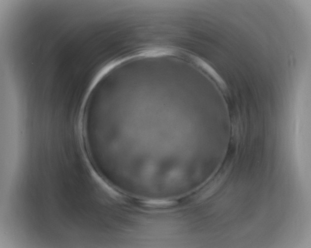 X0000113781487200909301139