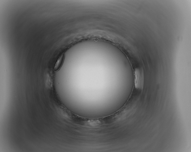 X0000113781491200909301139