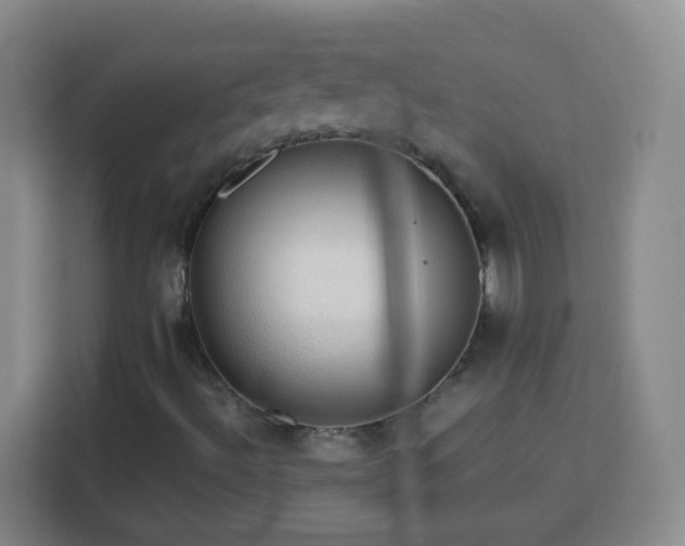 X0000113781492200909301139