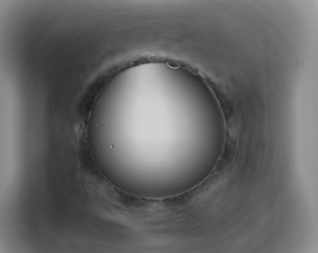 X0000113781495200909301139