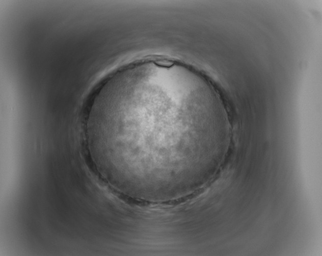 X0000113781496200909301139