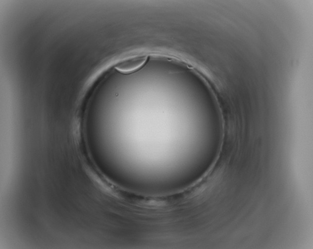 X0000113781503200909301139