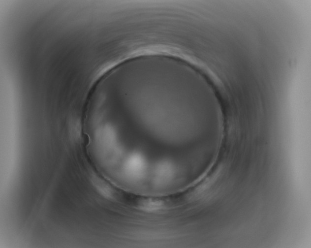 X0000113781505200909301139
