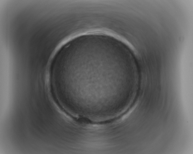 X0000113781506200909301139