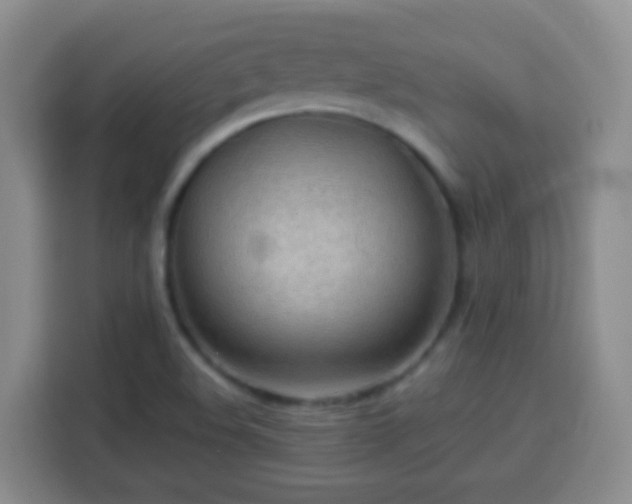 X0000113781508200909301139