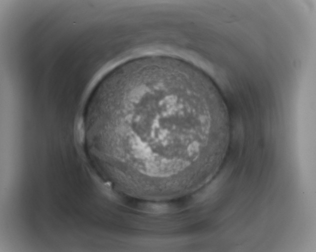 X0000113781509200909301139