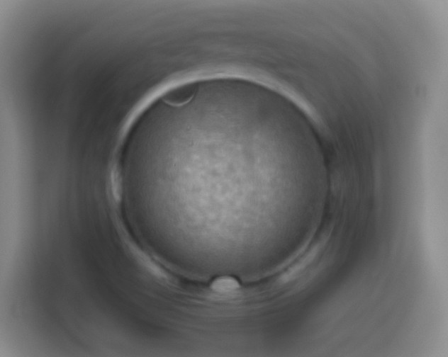 X0000113781510200909301139
