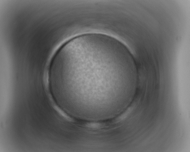 X0000113781511200909301139