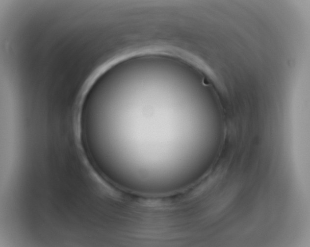 X0000113781512200909301139
