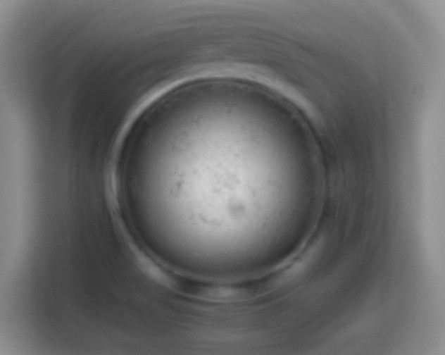 X0000113781517200909301139