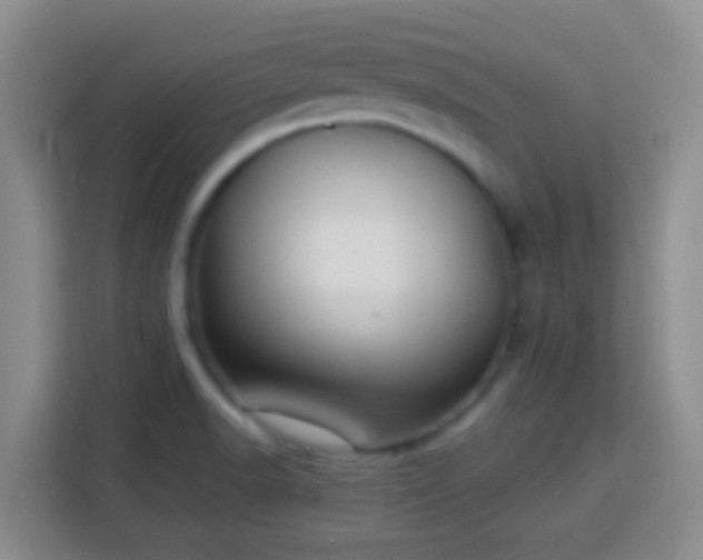 X0000113781518200909301139