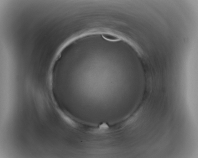 X0000113781519200909301139