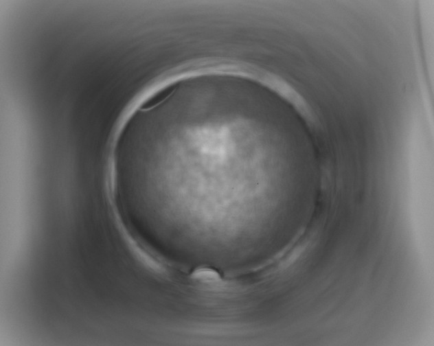 X0000113781520200909301139