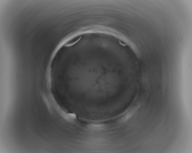 X0000113781522200909301139