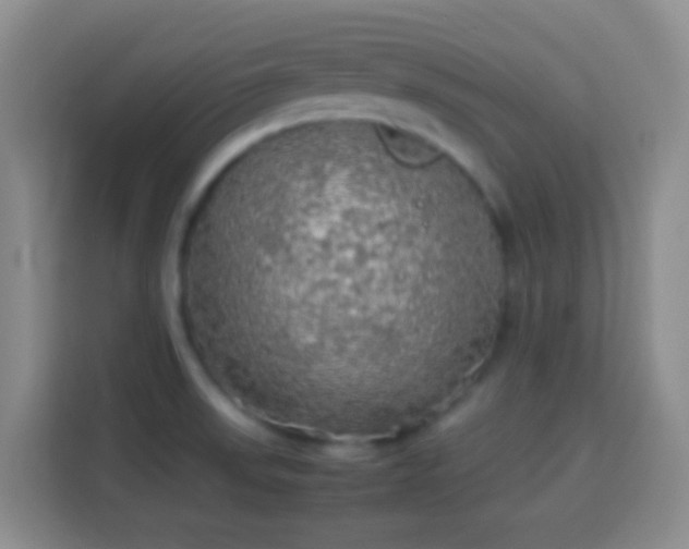 X0000113781523200909301139