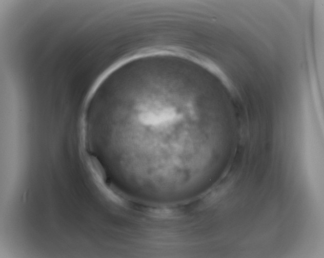 X0000113781524200909301139