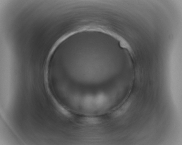 X0000113781525200909301139