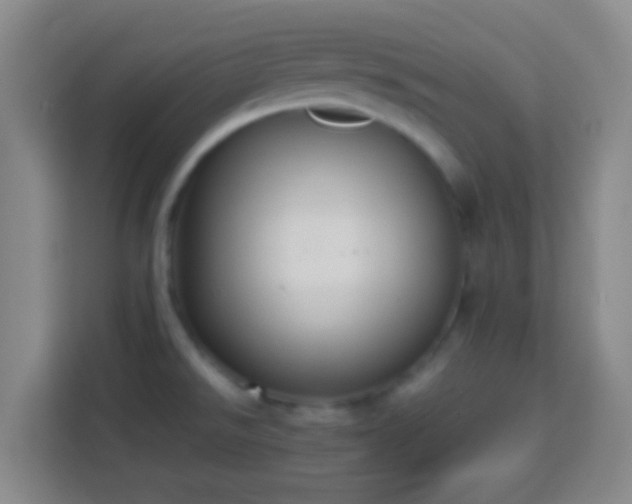 X0000113781526200909301139