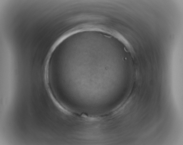X0000113781528200909301139