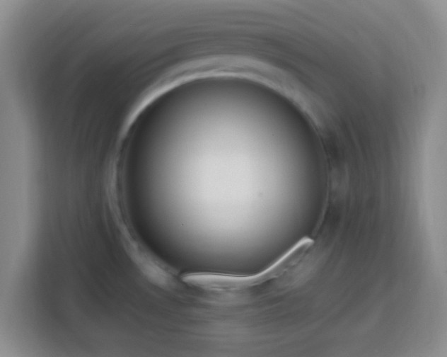 X0000113781530200909301139