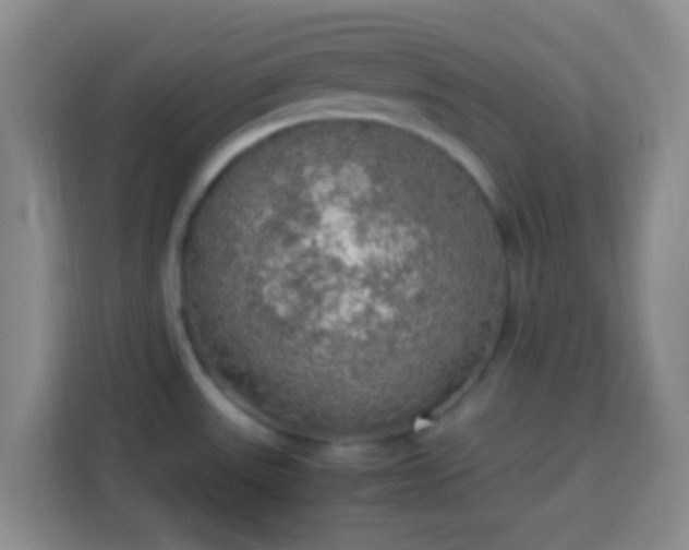 X0000113781531200909301139