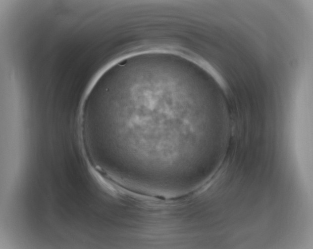 X0000113781532200909301139