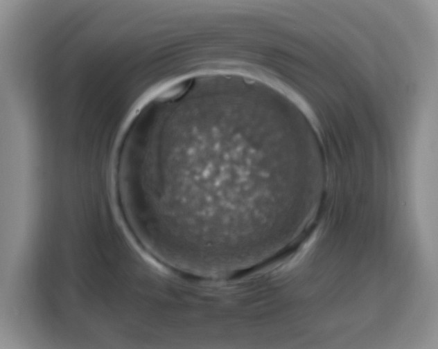 X0000113781533200909301139