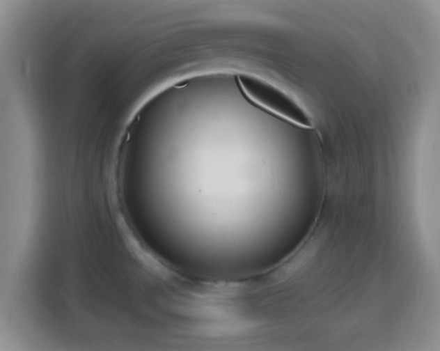 X0000113781534200909301139