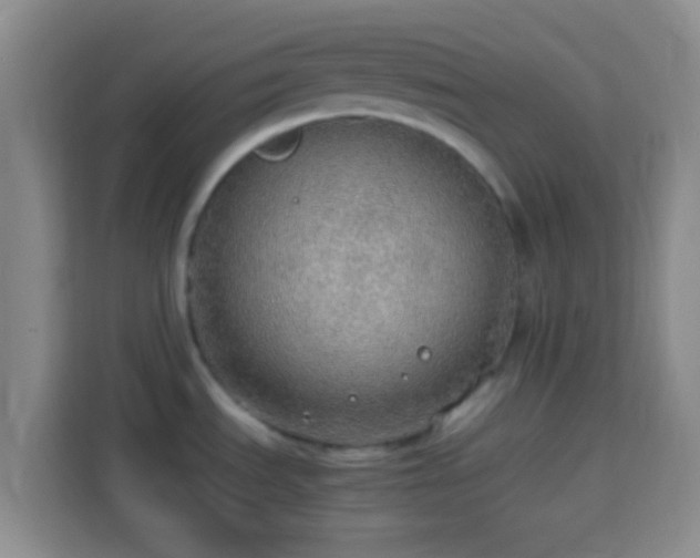X0000113781535200909301139