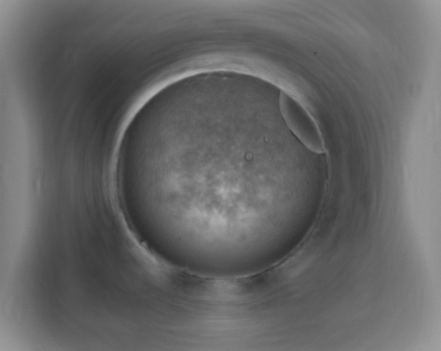 X0000113781536200909301139