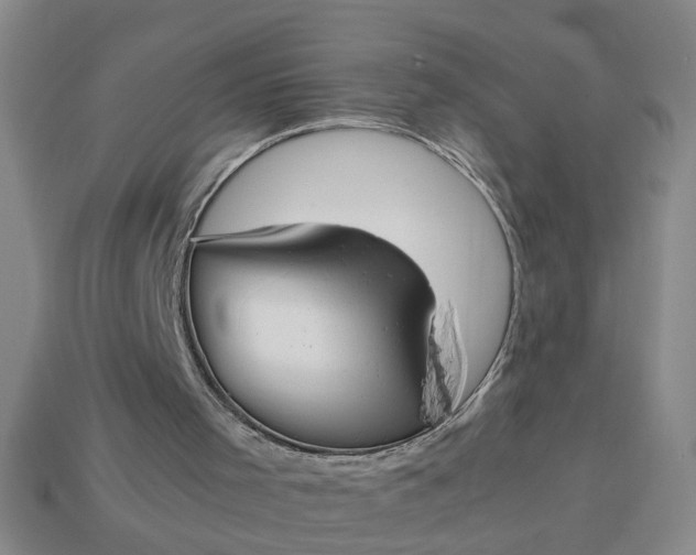 X0000113780001200910071233