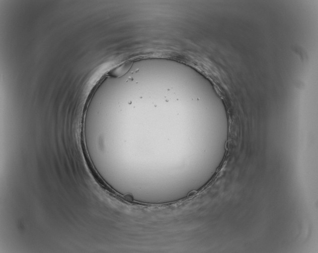 X0000113780003200910071233