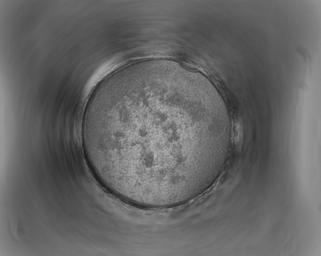 X0000113780004200910071233