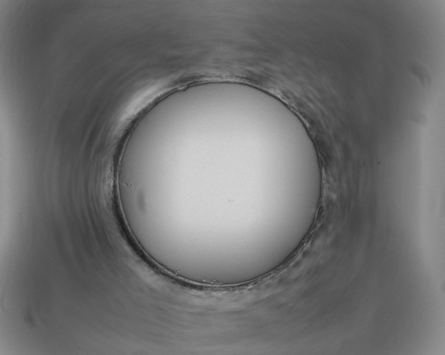 X0000113780005200910071233